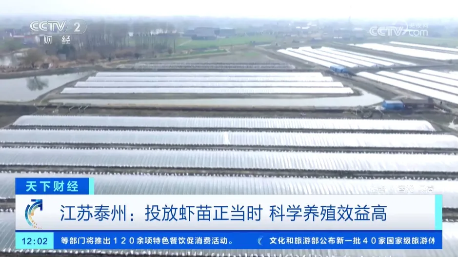 【集团简讯】跟随央视镜头，走进好润红渔业科创产业园：科技赋能，好润集团助力水产养殖高质量发展