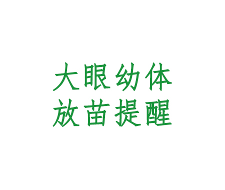 【建议收藏】大眼幼体放苗提醒｜好润6S科学管理助您提升河蟹养殖成活率！