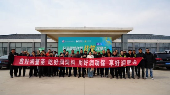 “好润1号”大眼幼体出苗在即！选对种苗，河蟹高产稳产有保障——来自养殖一线的成功见证