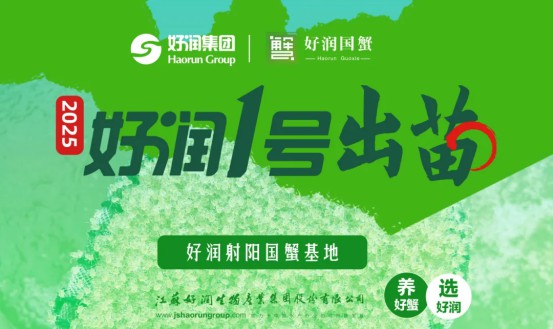 2025年“好润1号”大眼幼体盛大出苗！品质蟹苗助力养殖户稳产增收