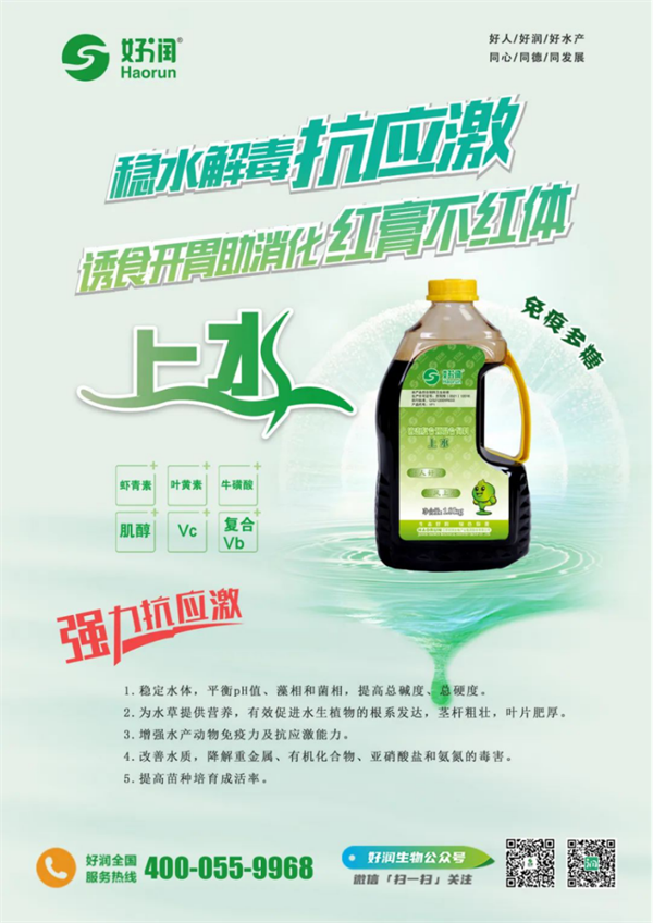 【集团简讯】好润模式助力对虾养殖，荣获多个奖项赢得市场认可！529