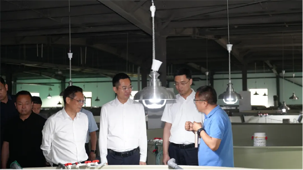 6.6【集团简讯】陕西长武县党政代表团莅临好润集团参观调研342