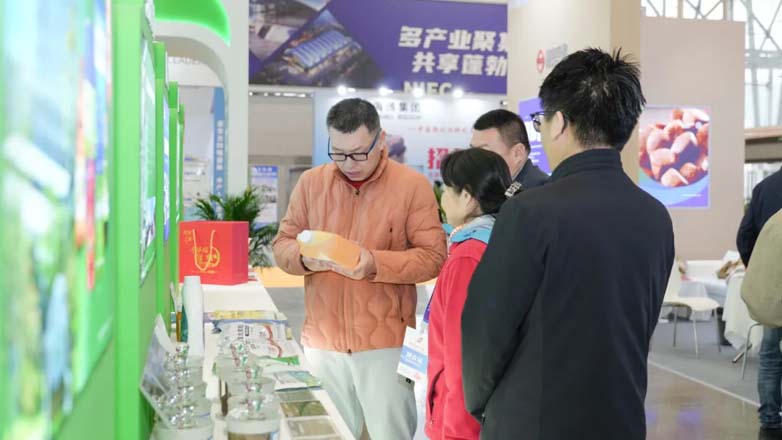 图片49