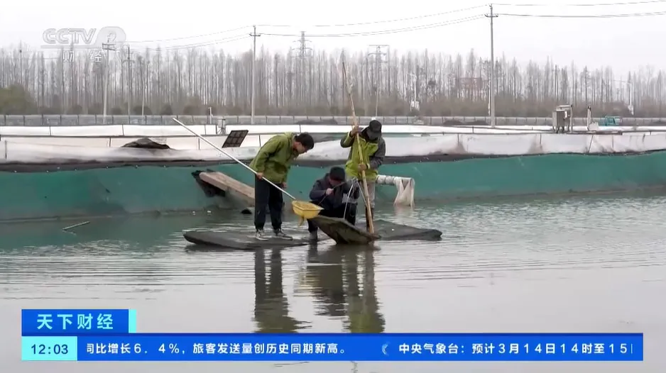 图片52