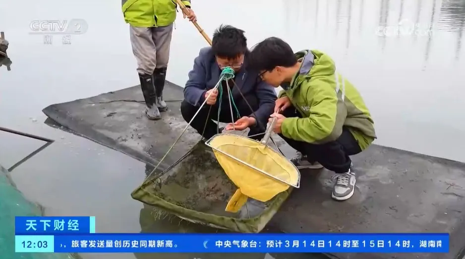 图片53