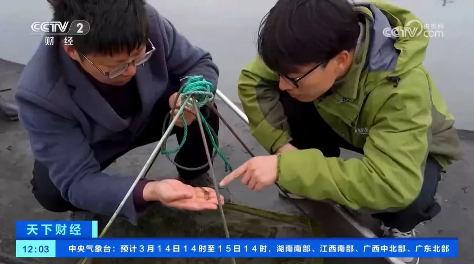 图片54