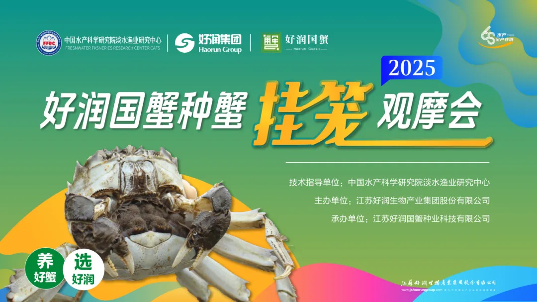 图片64