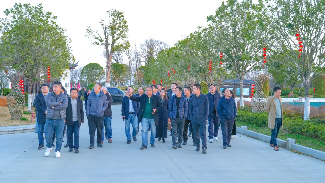 图片87