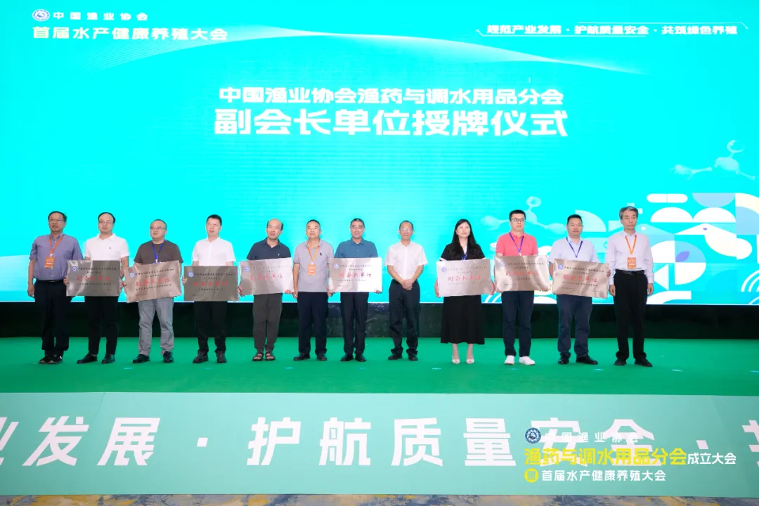 图片12
